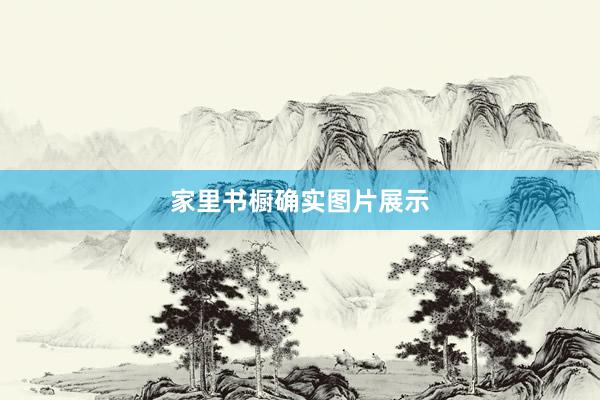 家里书橱确实图片展示